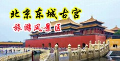 换妻干逼干喷潮中国北京-东城古宫旅游风景区